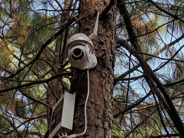 智慧農(nóng)場監(jiān)控系統(tǒng)設(shè)備，為我國農(nóng)業(yè)發(fā)展做出了多大貢獻(xiàn)？