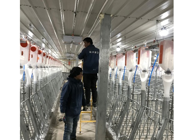 陜西鑫安安防養(yǎng)豬場視頻監(jiān)控系統(tǒng)